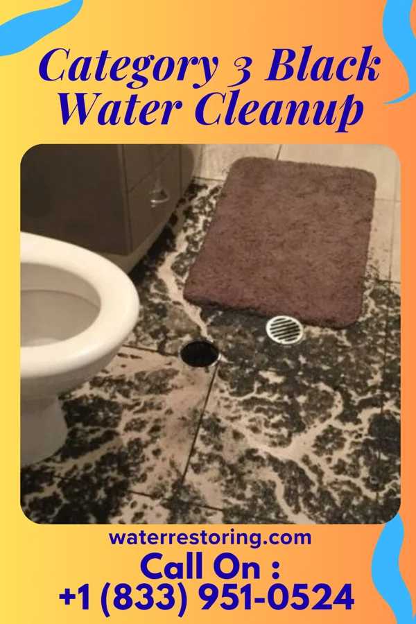 Category 3 Black Water Cleanup in Covington, VA