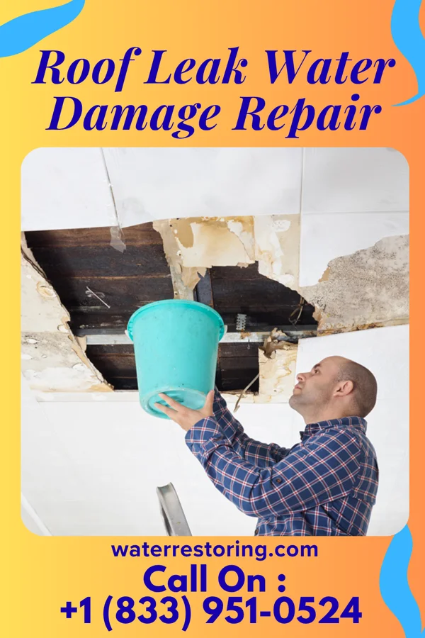 Roof Leak Water Damage Repair in Covington, VA