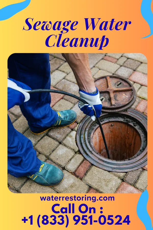 Sewage Water Cleanup in Covington, VA