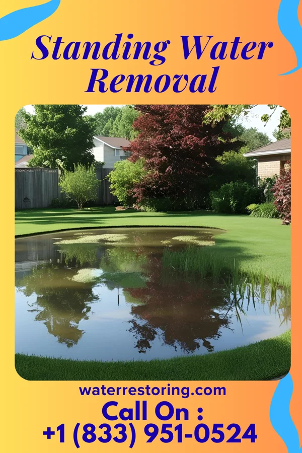 Standing Water Removal in Covington, VA